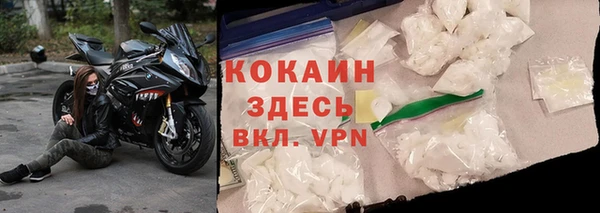 сатива Бородино