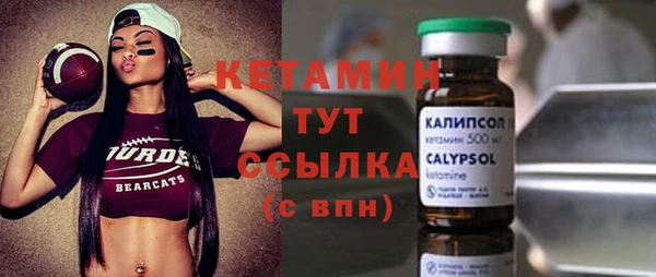 сатива Бородино