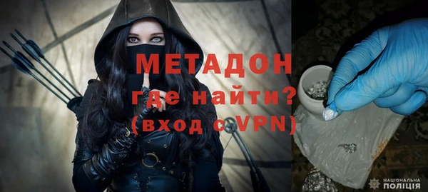 сатива Бородино