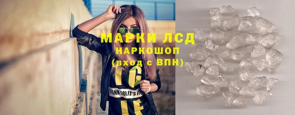 сатива Бородино