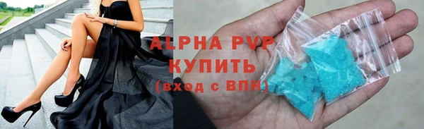 прущие грибы Верхний Тагил
