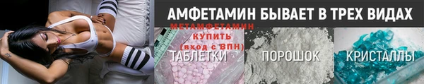 сатива Бородино