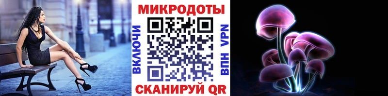 что такое   Лиски  Галлюциногенные грибы Psilocybe 